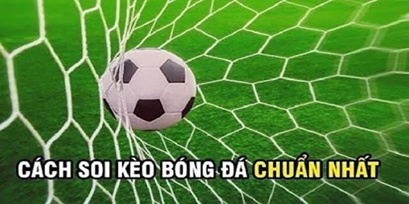 Đọc và hiểu tỷ lệ kèo nhà cái thì thành viên mới có thể tự tin đặt cược